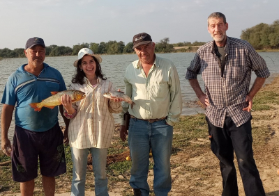 Monitoreo de metales pesados en peces del río Pilcomayo